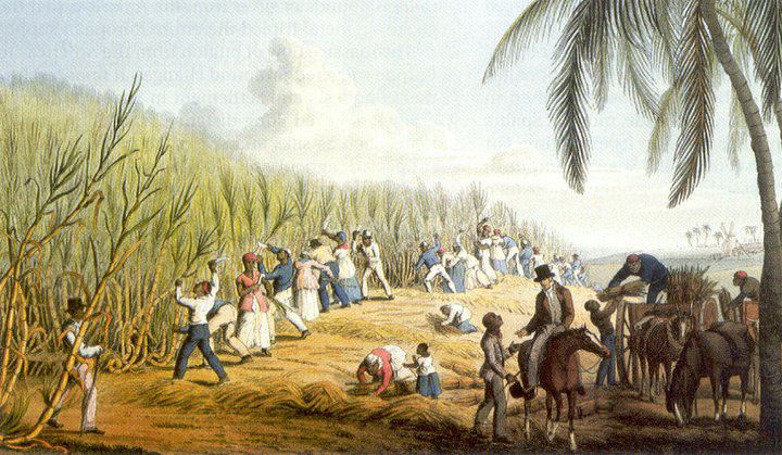 Caribbean-Sugar-Plantations-Slavery-in-the-Caribbean